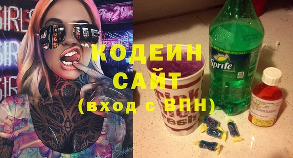 ECSTASY Алзамай