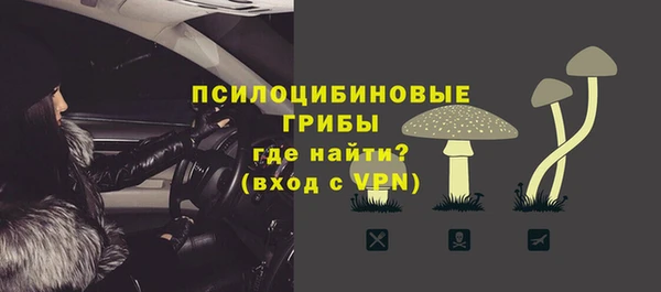 крисы Алексеевка