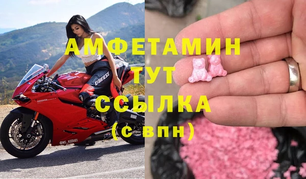 ECSTASY Алзамай