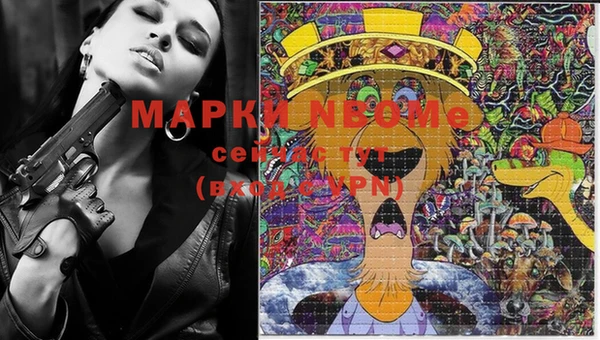 ECSTASY Алзамай