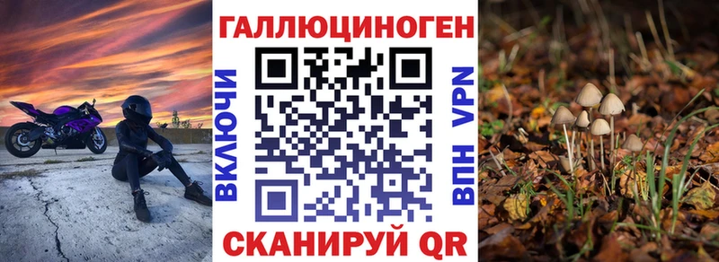 Галлюциногенные грибы мицелий  Катав-Ивановск 