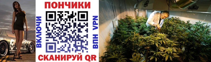 купить закладку  MEGA зеркало  Шишки марихуана Bruce Banner  Катав-Ивановск 